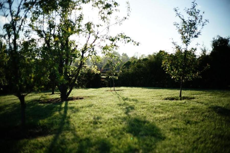 Oaza Nad Krutynia Apartamento Ukta Exterior foto